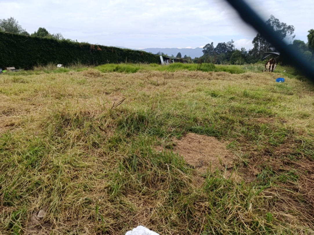 Avenida 7 # 235-91, Usaquén, Bogotá, D.C., Bogotá, Bogotá, D.C., Colombia 3